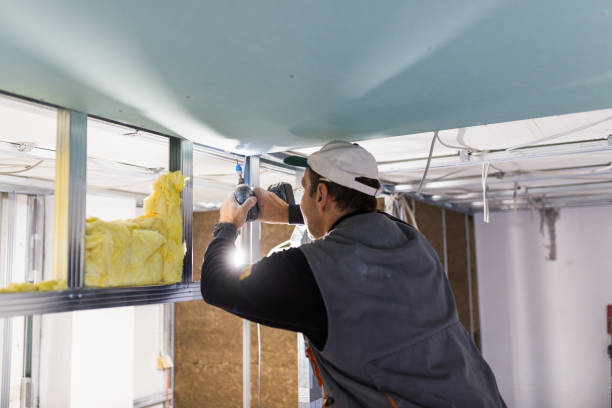 Best Eco-Friendly Insulation in Bernie, MO