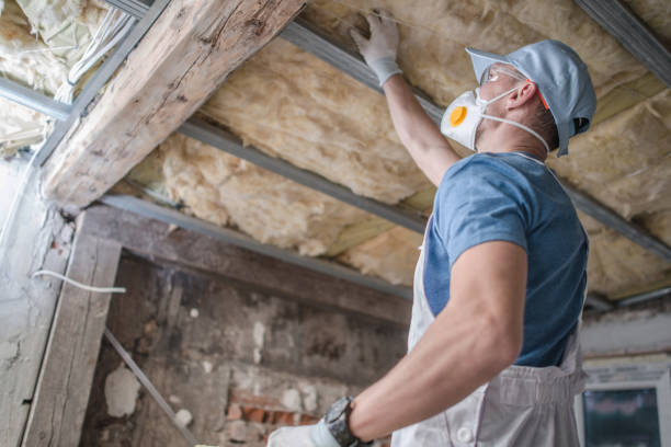Best Fiberglass Insulation in Bernie, MO