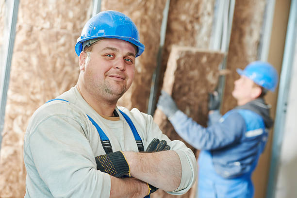 Best Commercial Insulation in Bernie, MO