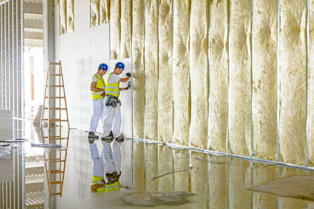 Best Spray Foam Insulation in Bernie, MO